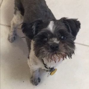 Meet your Posher, Katrina